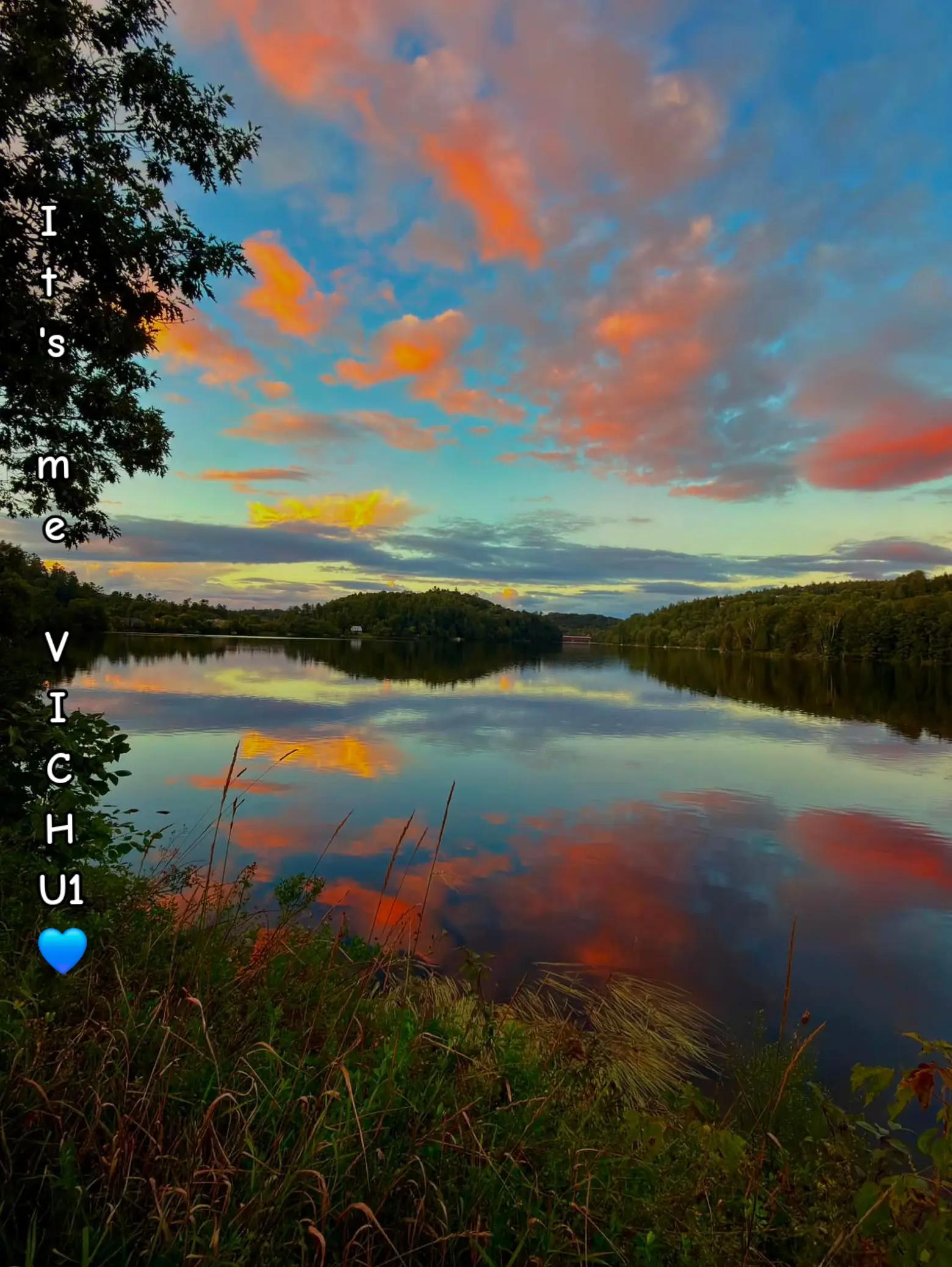 @✦ VICHU🇨🇦 ✦