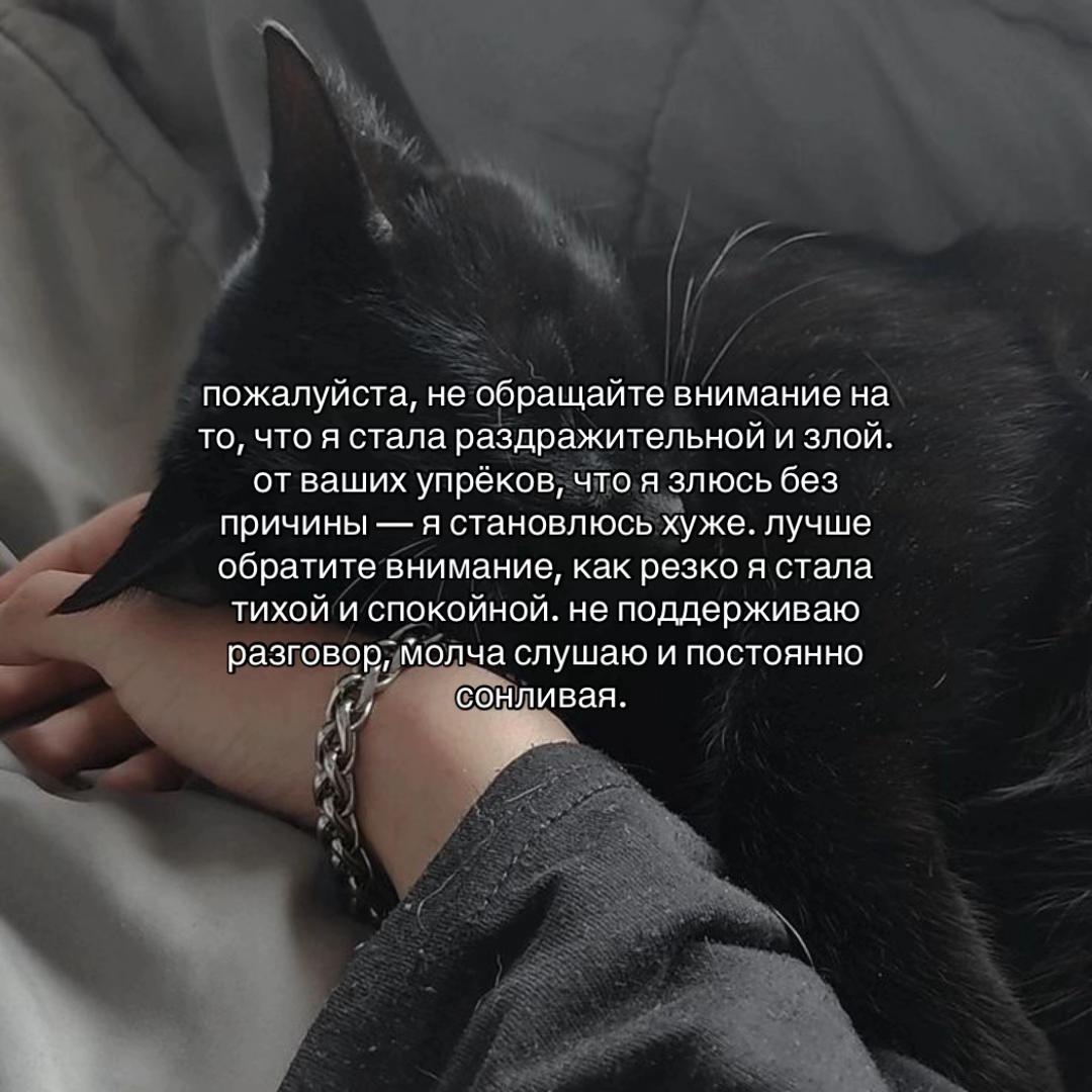 @𝙨𝙯𝙚𝙧𝙚𝙡𝙚𝙢