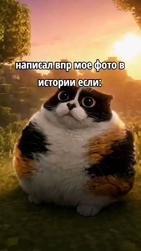 @CAPITAN_BULBA,ZAVR🇷🇺🇧🇾🇰🇿