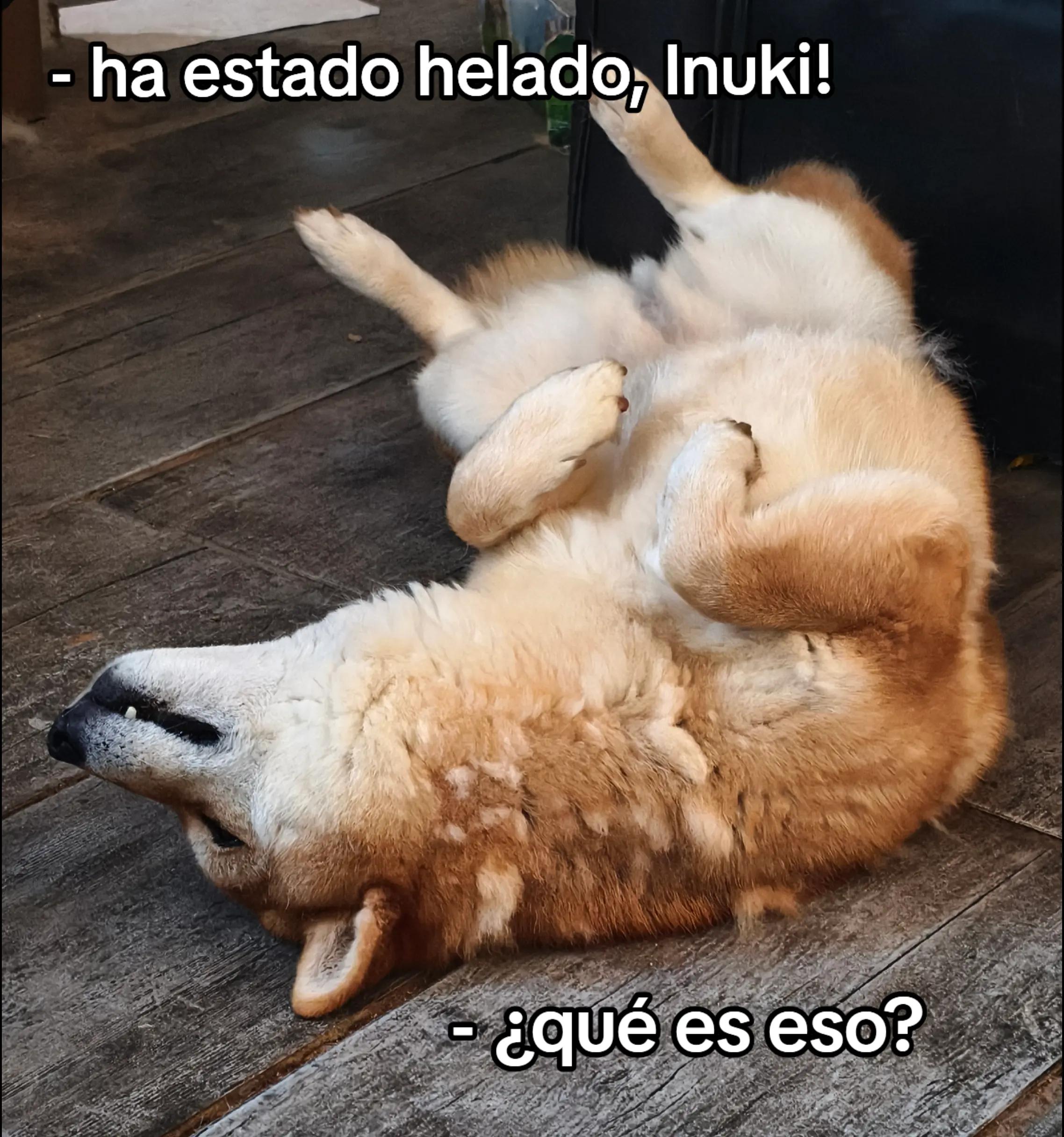 @Demona's Hellhounds Kennel