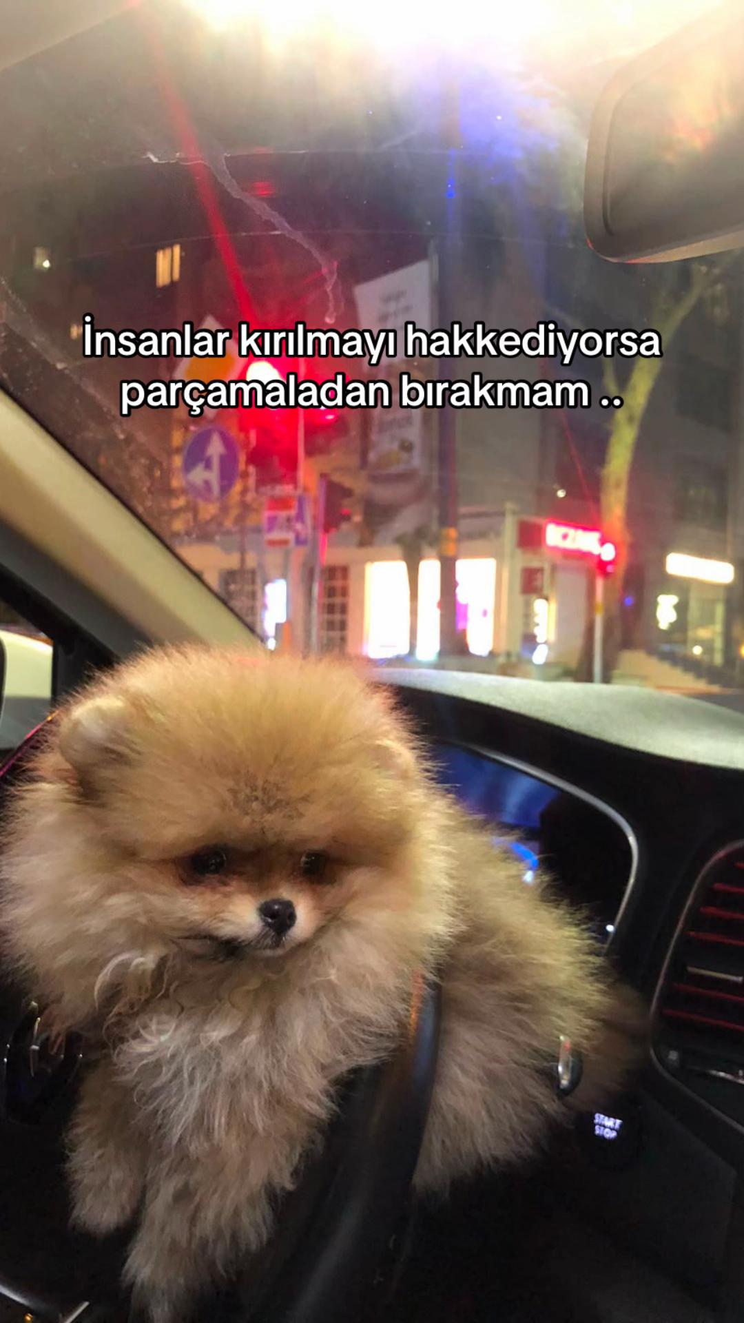 @zeynep_salman04