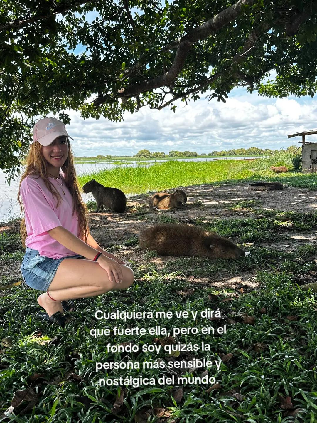 @Aimar✨☀️