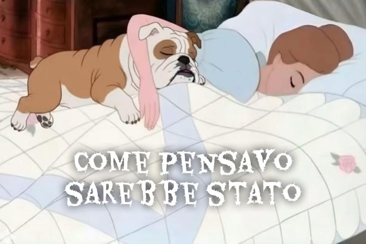 @Sara Talarico