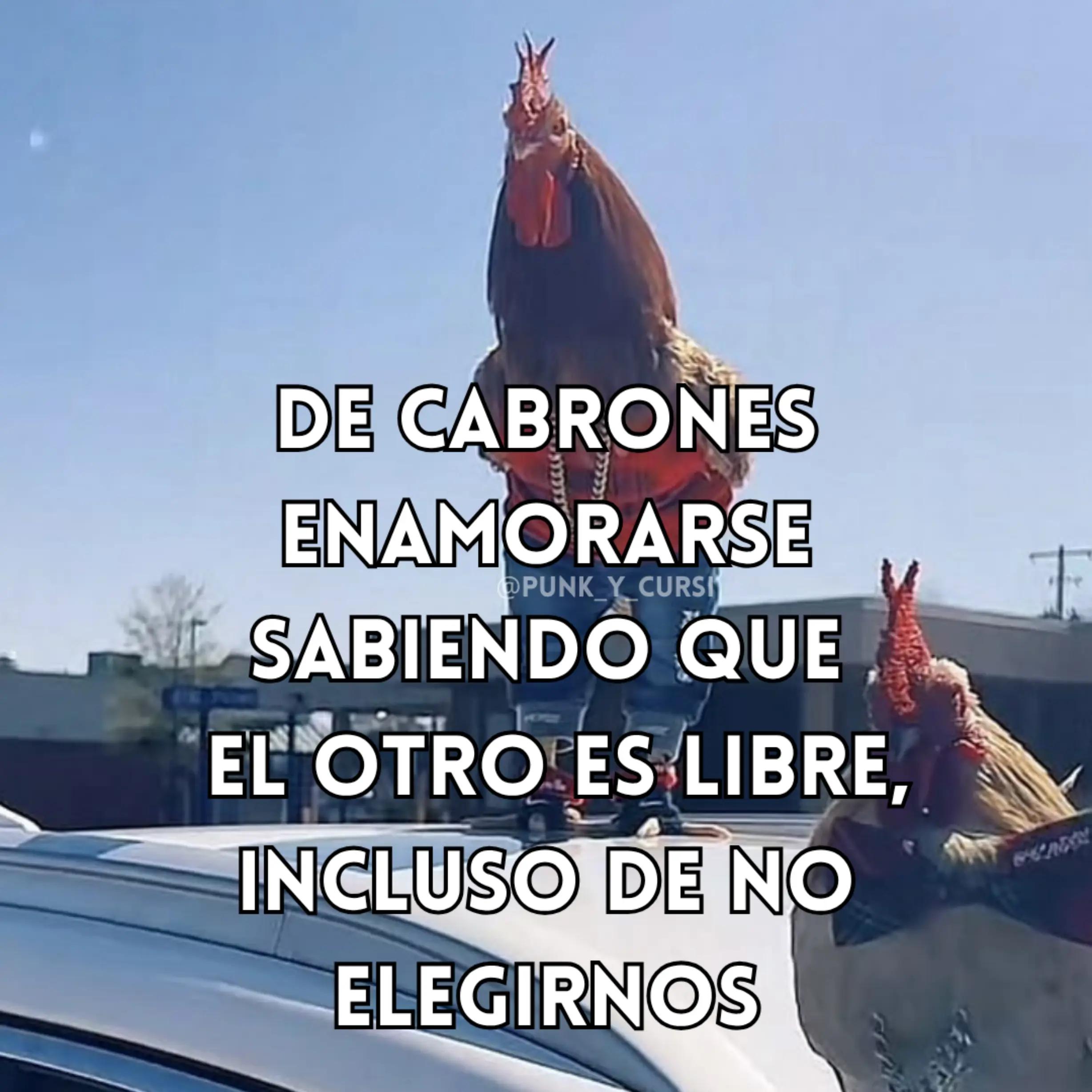 @SAMO
