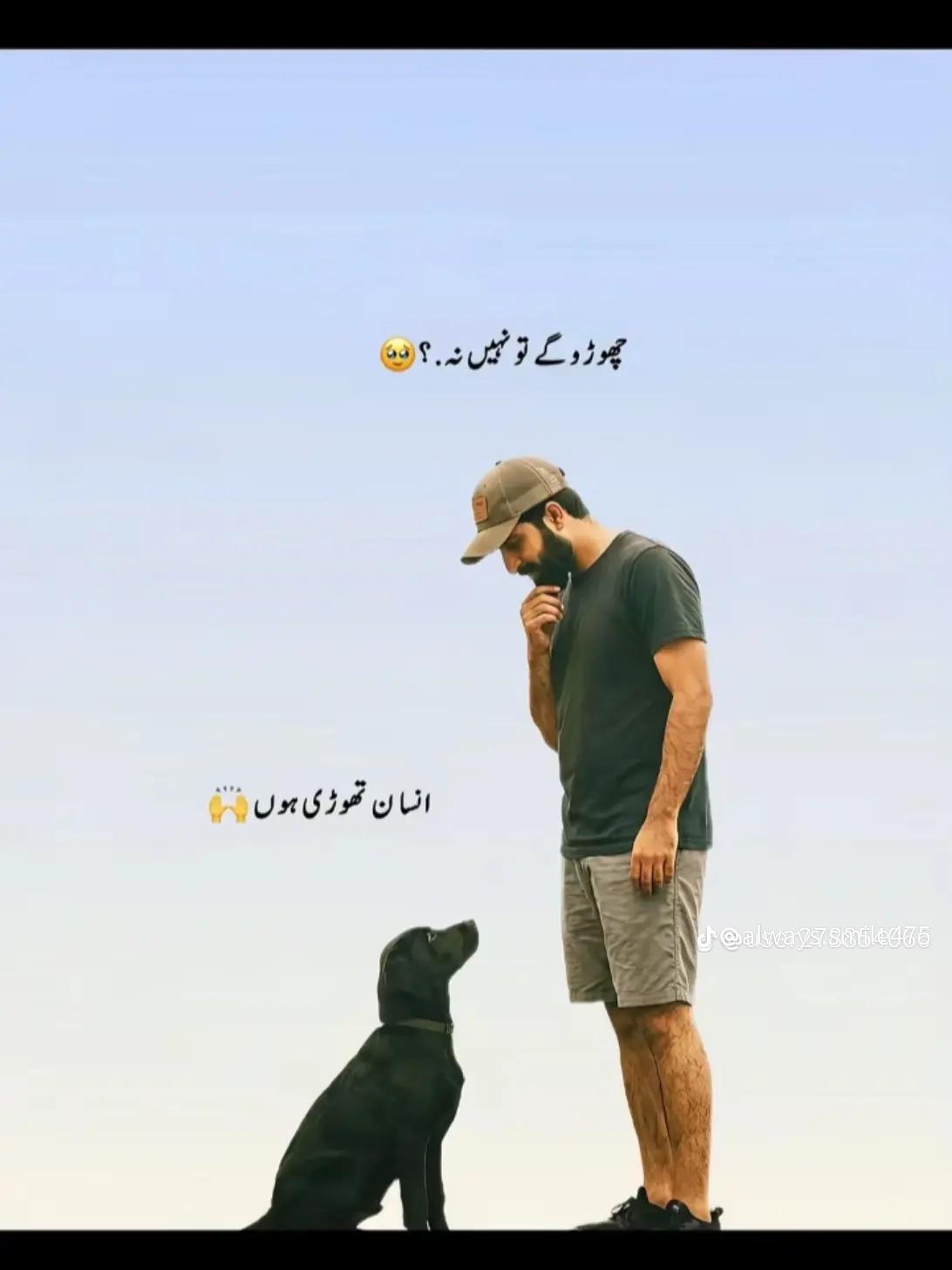 @HASEEB GULZAR