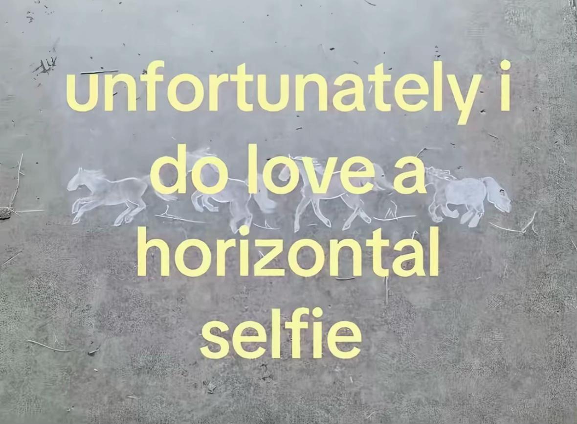 @shiko