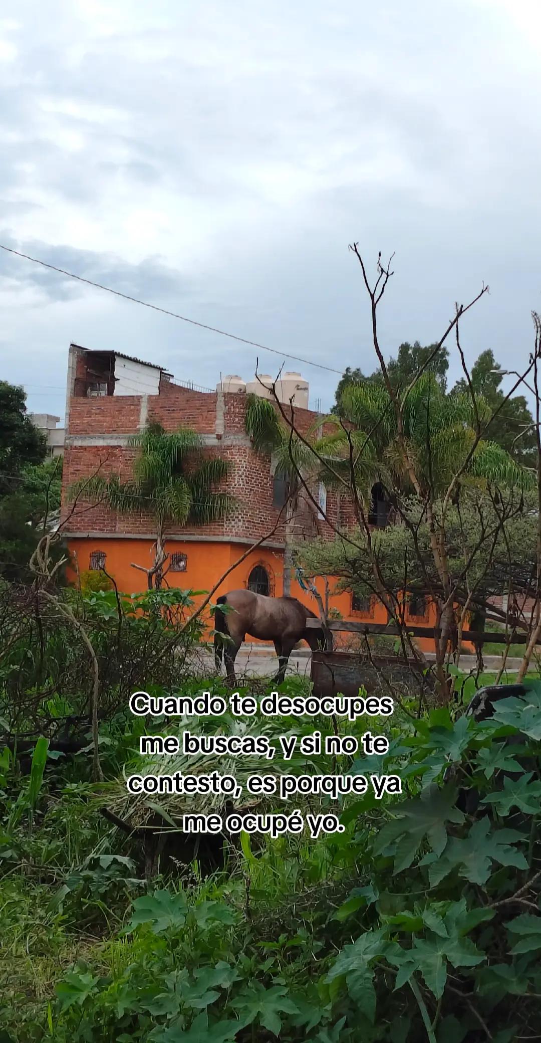 @𝐅 𝐚 𝐧 𝐧 𝐲 ᥫ᭡
