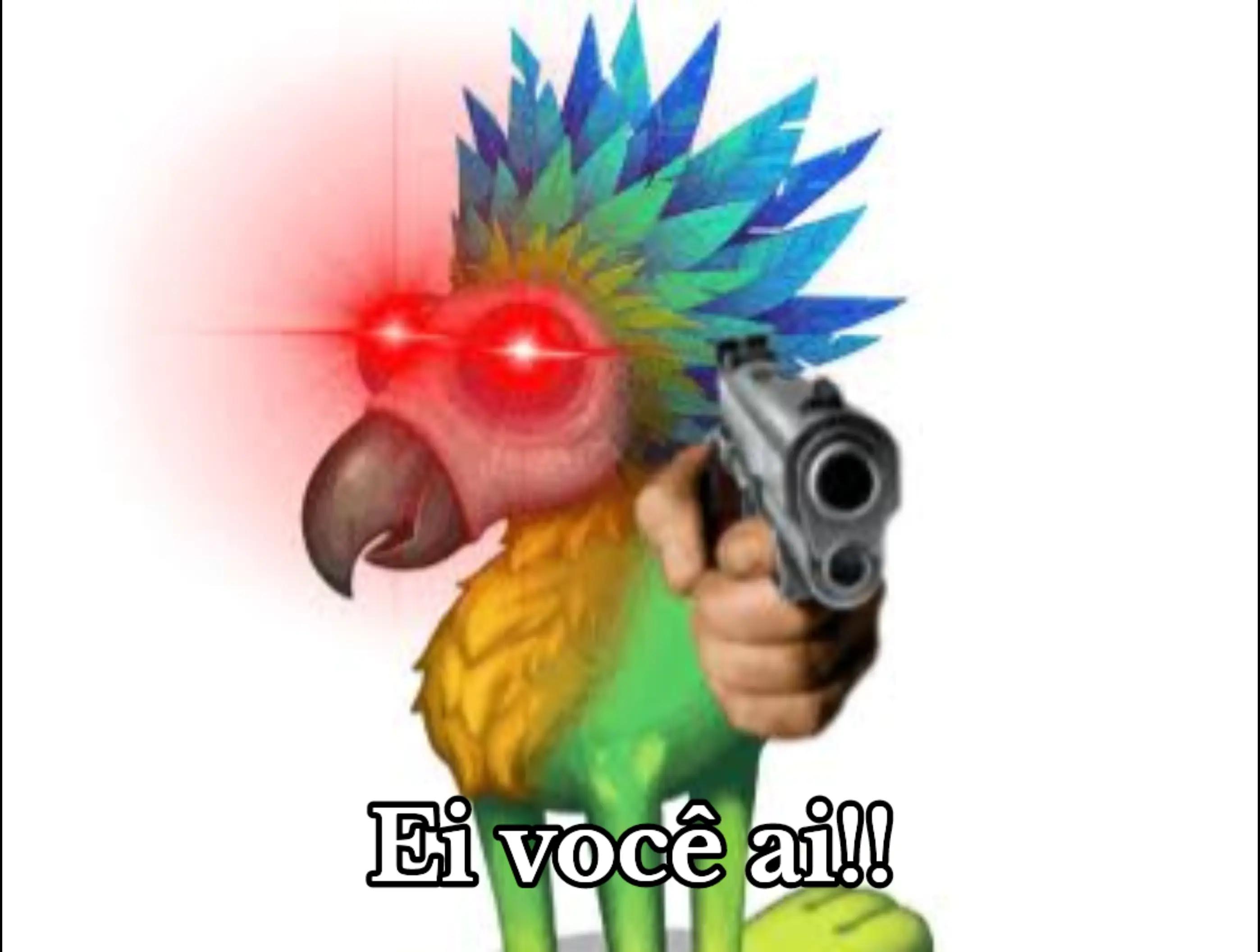 @Guia de MSM BR