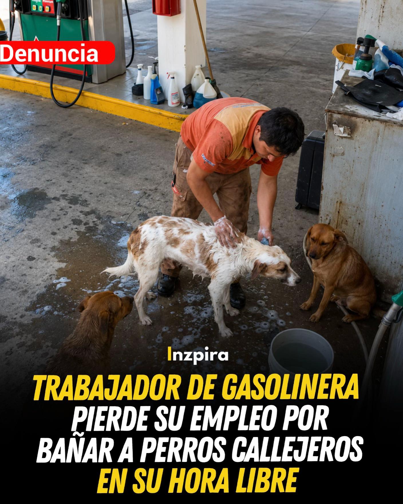 @inzpira.oficial
