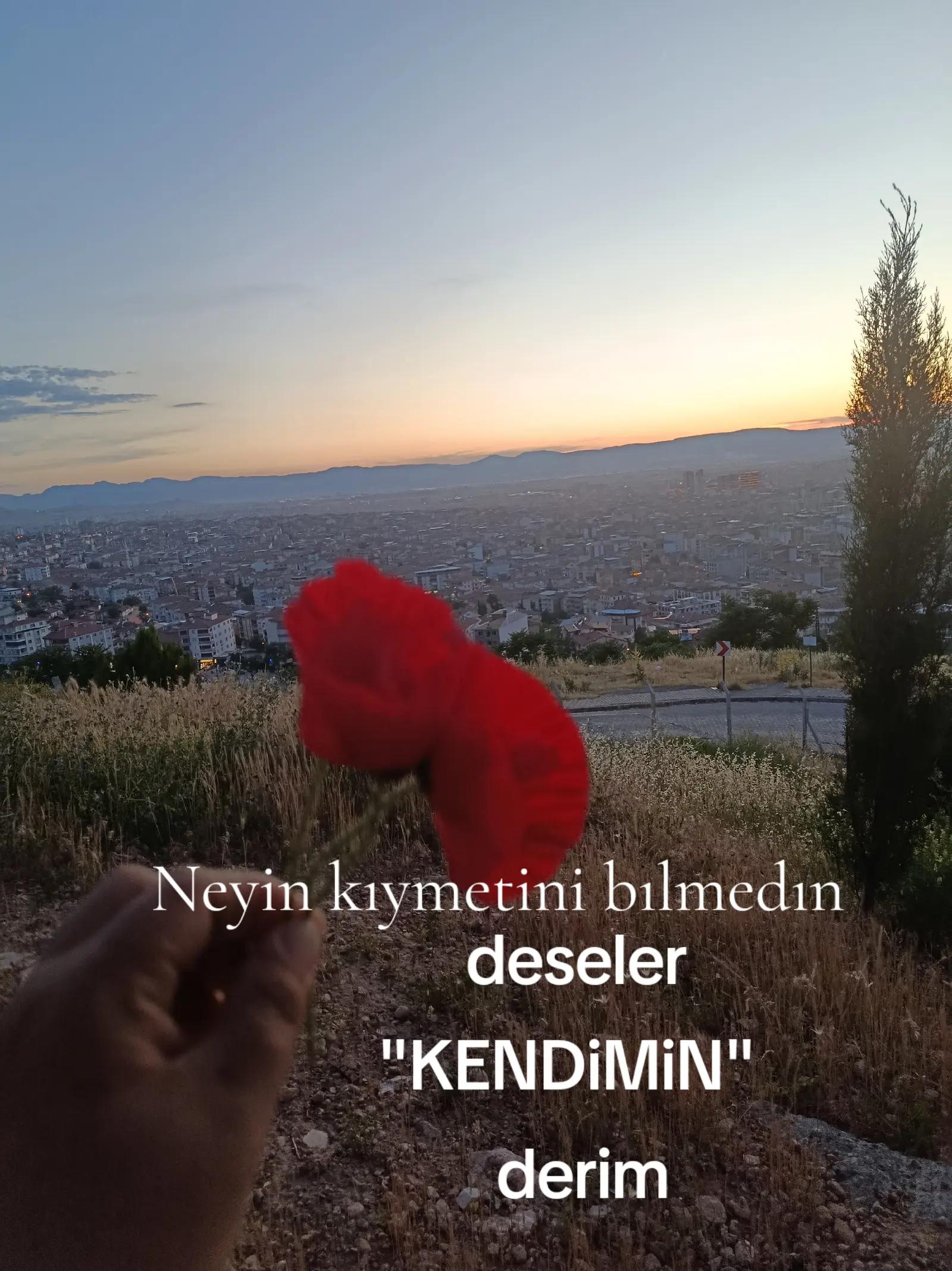 @kelebeğin Rüyası 44