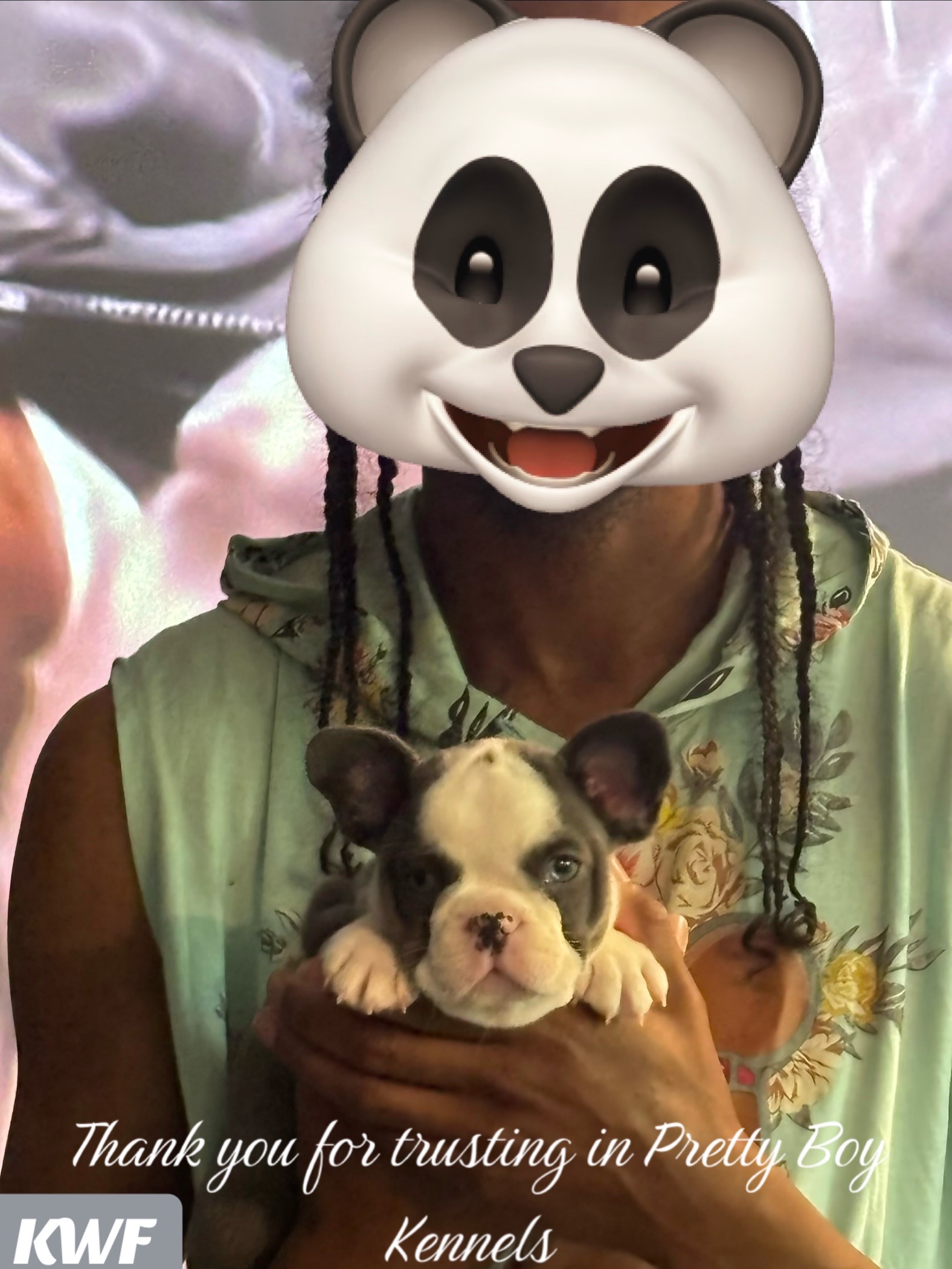 @prettyboykennels