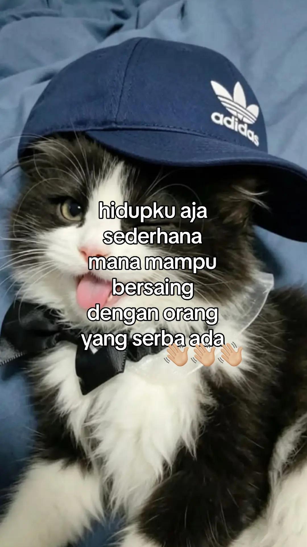 @wisnu23