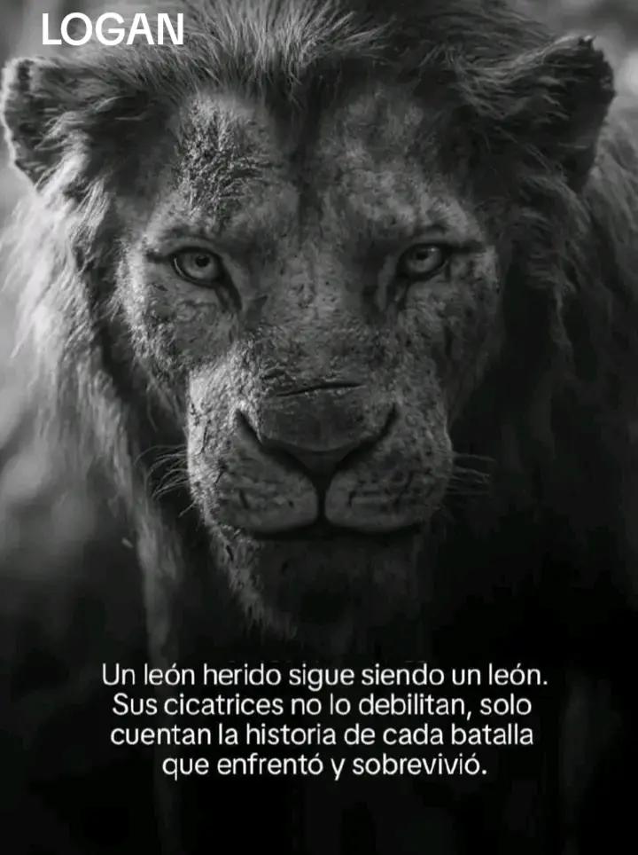 @Daniel Alba