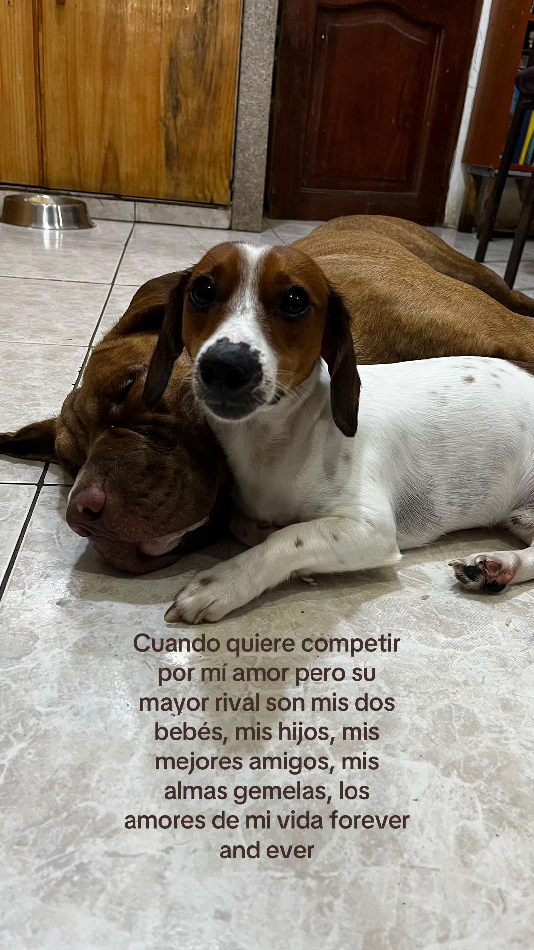 @Kika 🧿