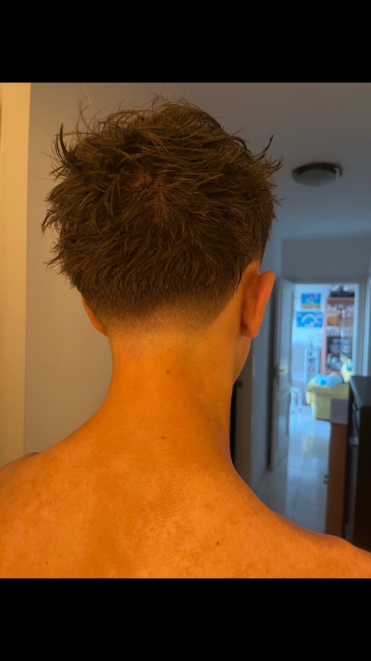 @pedroarbelo__