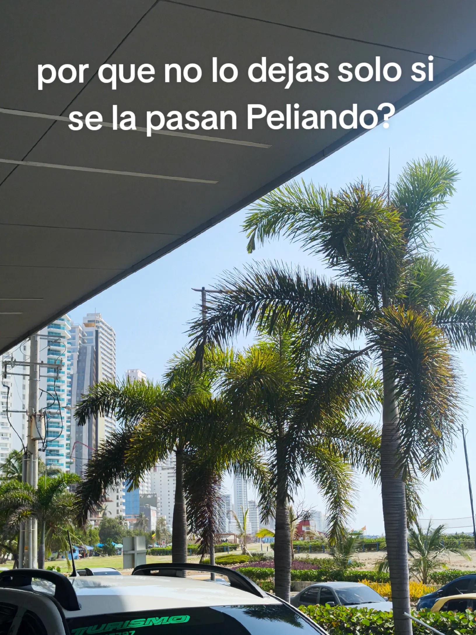 @sandrii wilcox