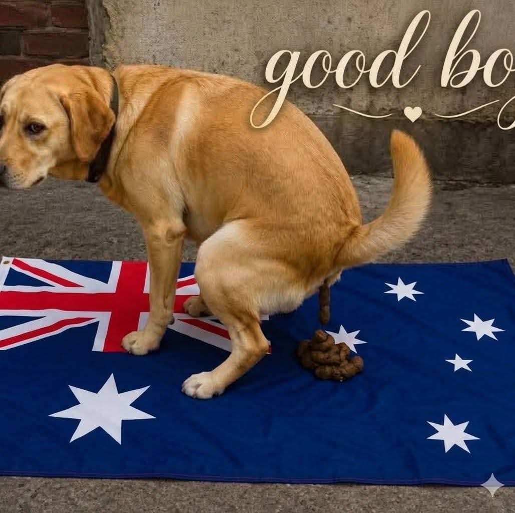 @based Australians