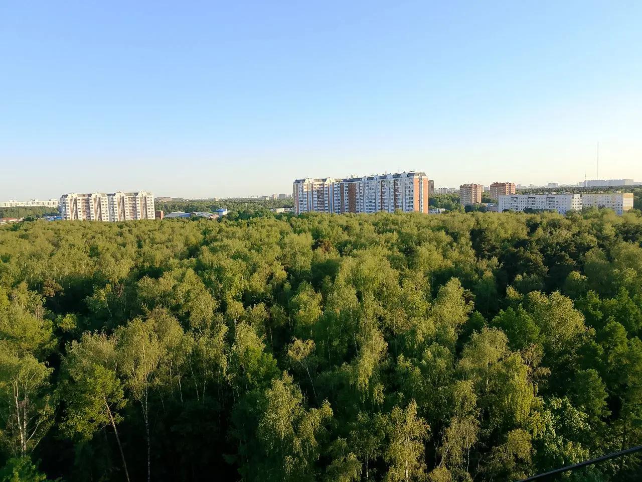 @Sp.сырник