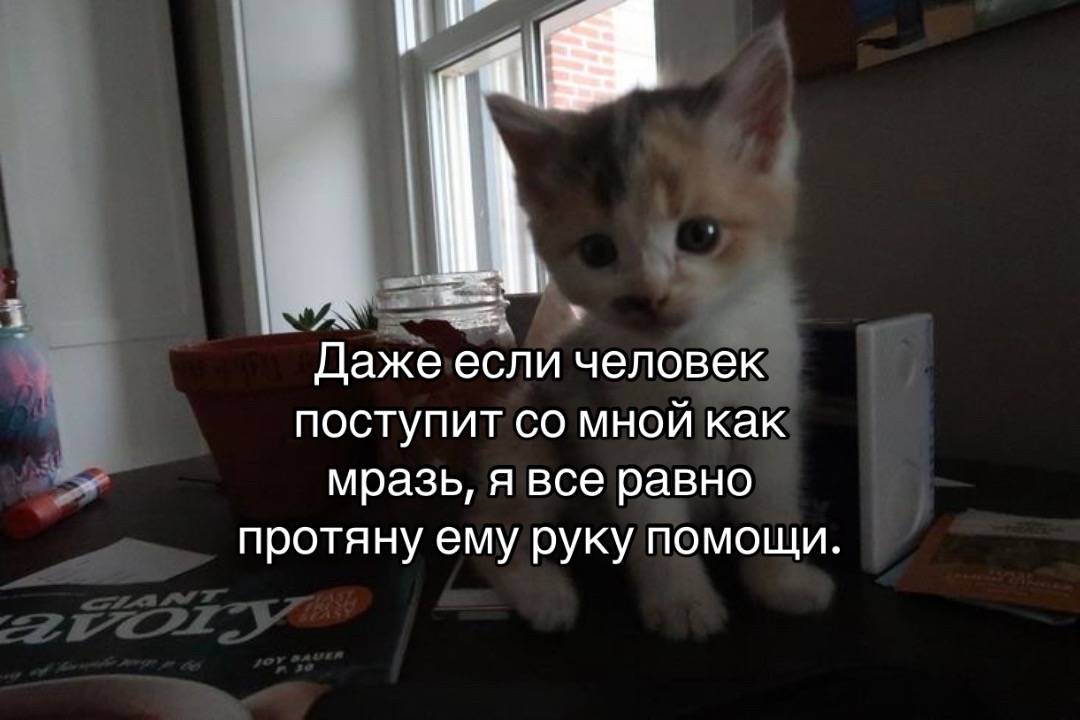 @#щп#