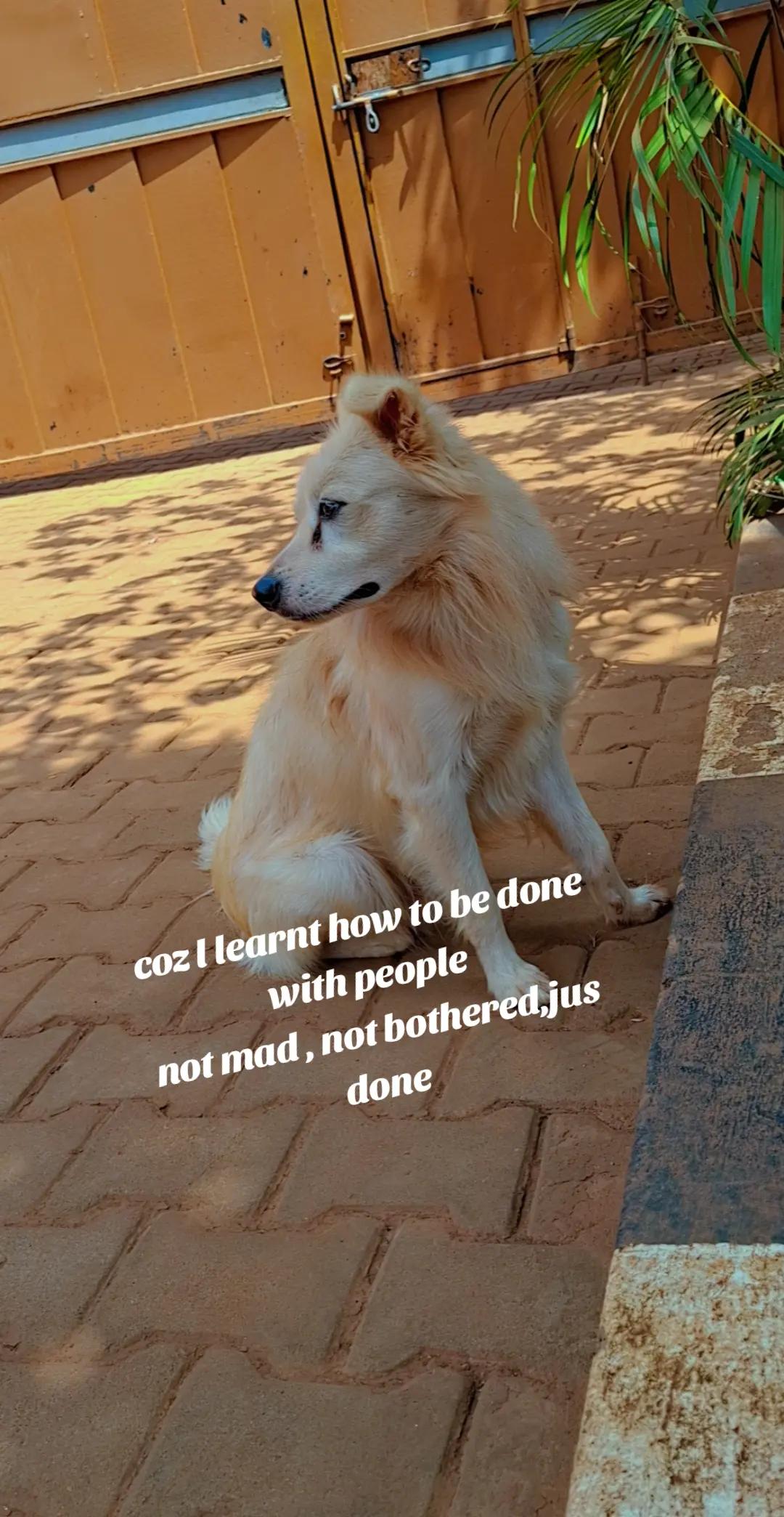 @Sheena kemigisha
