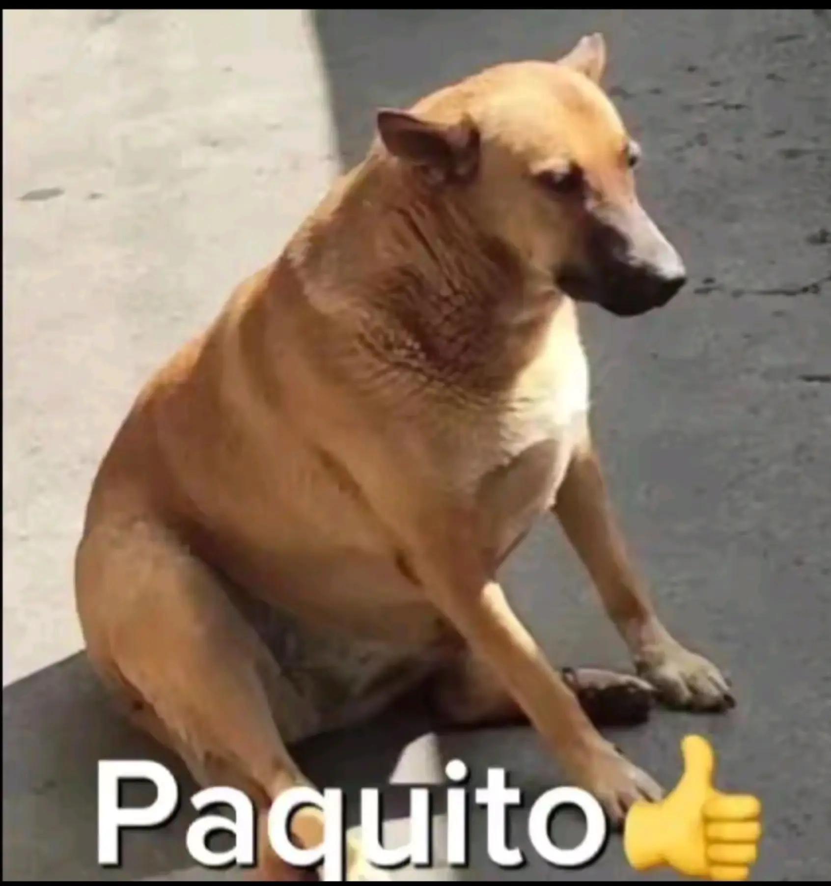 @Beto Jim&eacute;nez_5