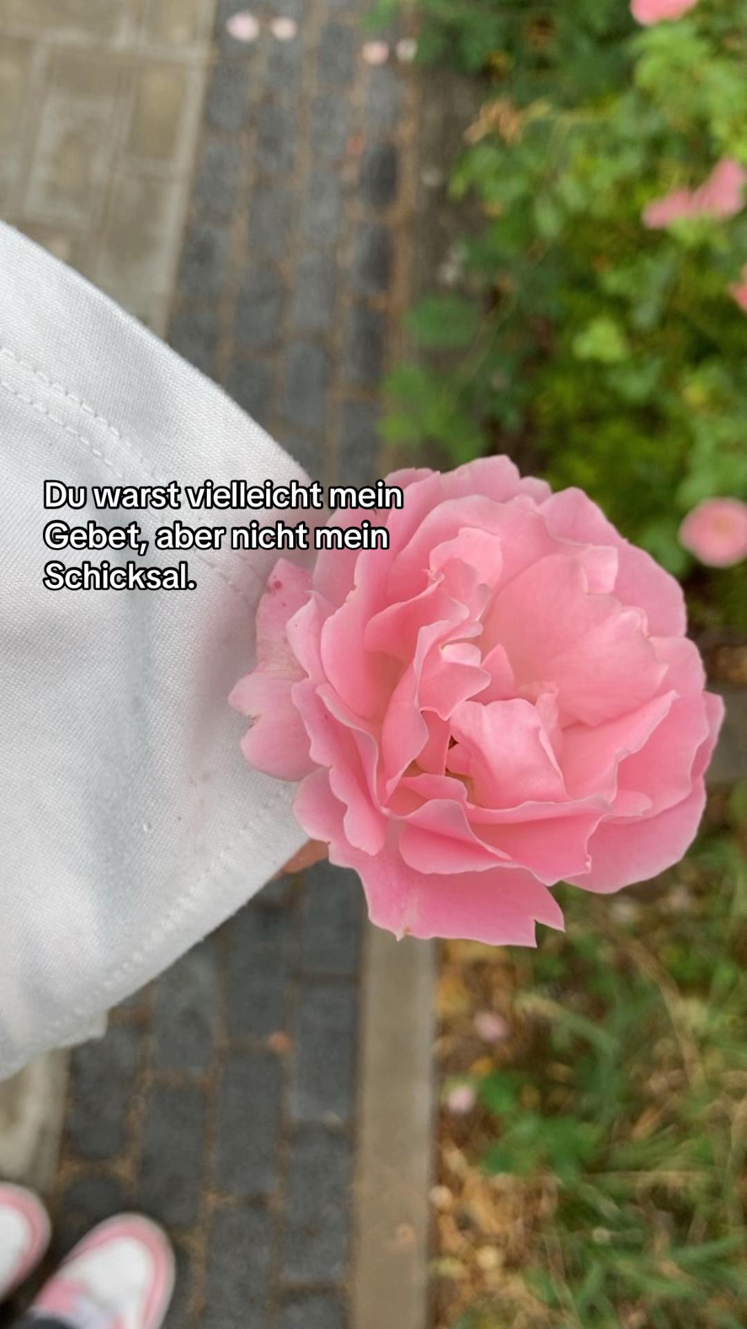 @☦️💗