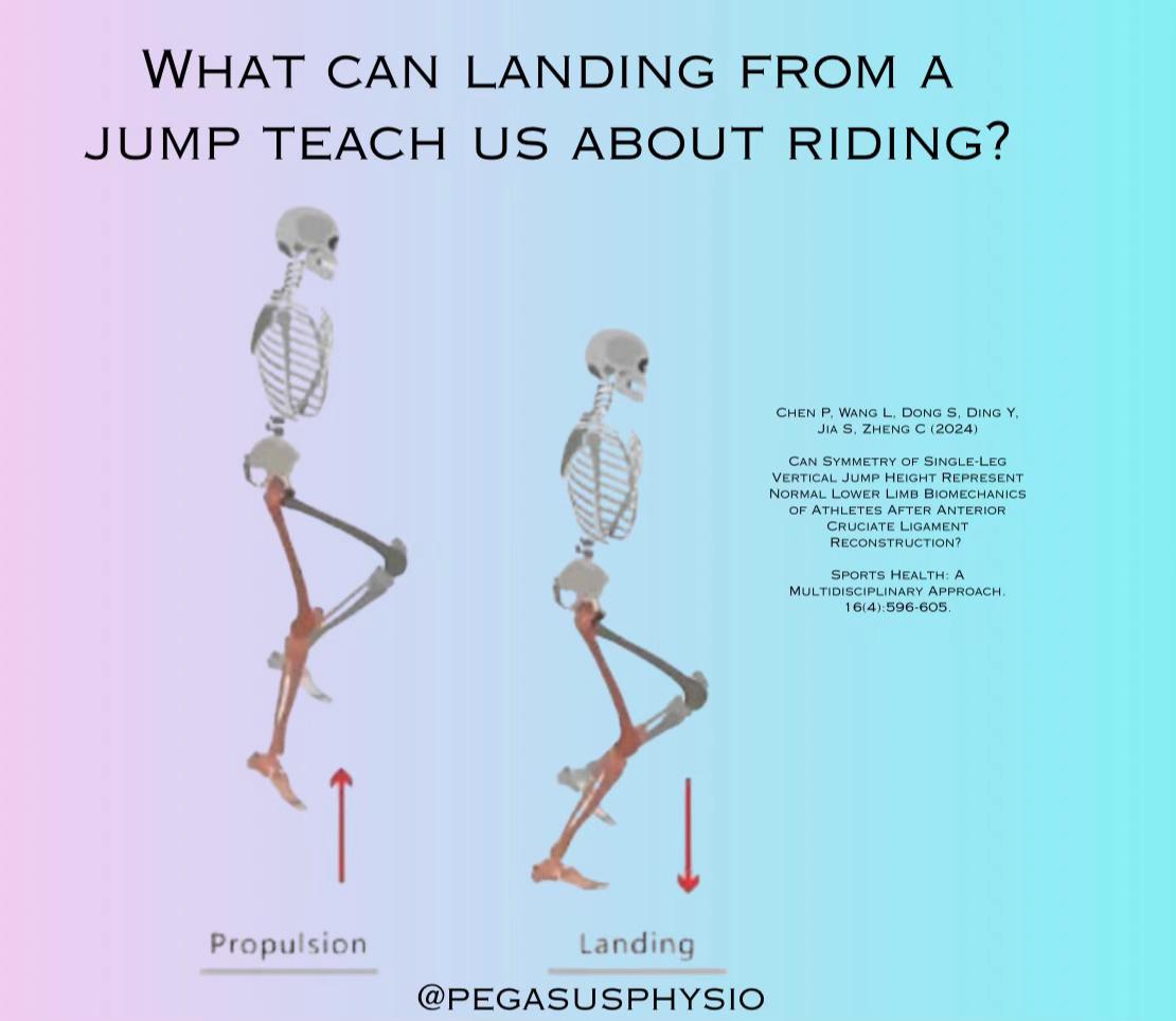 @Pegasus Physio