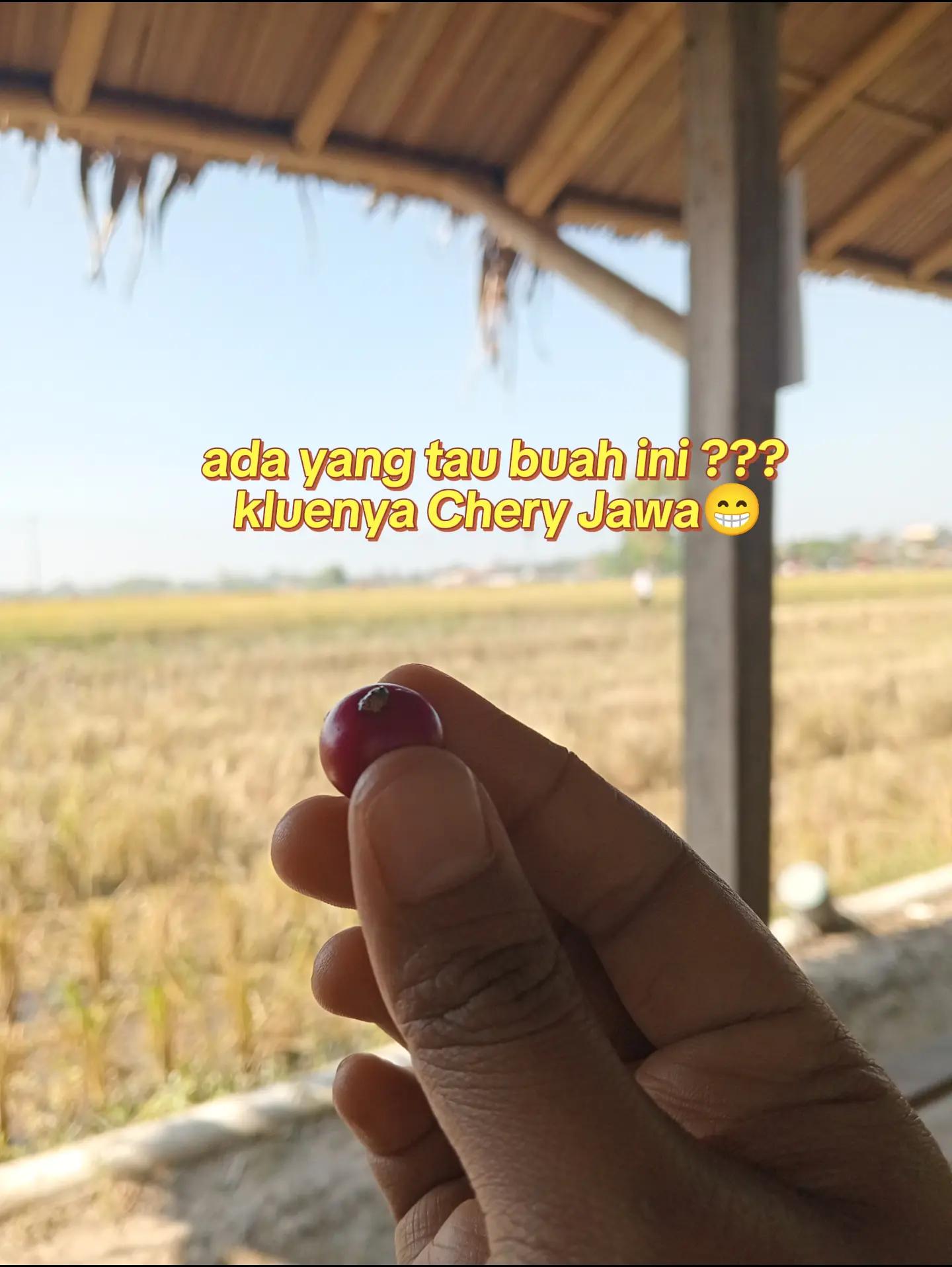 @Mukena Santung Solo