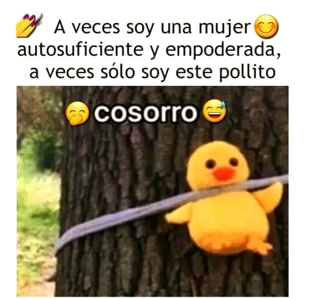 @Gaby Cordova