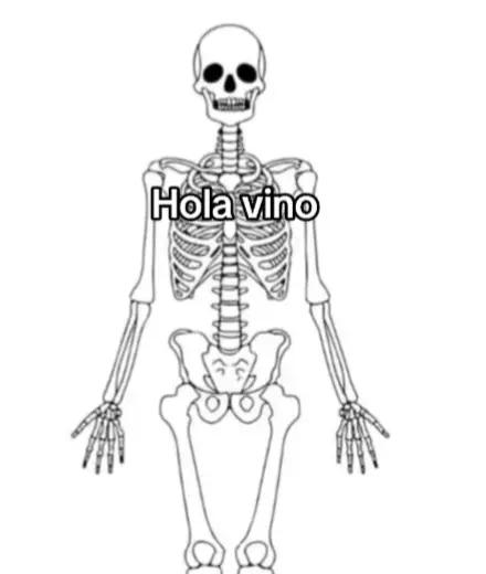 @๐พ๐๐ถ๐๐ฃ๐ฃ