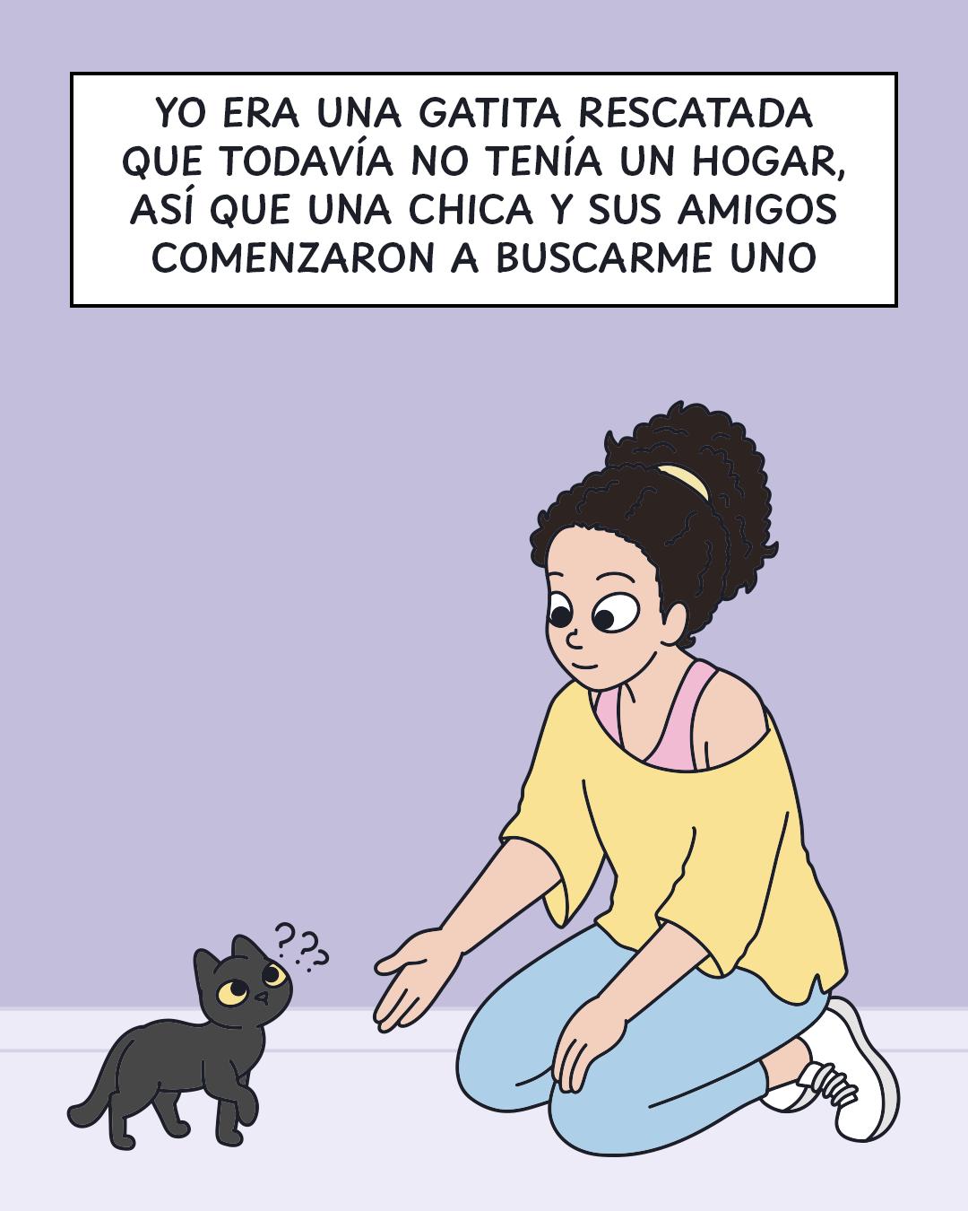 @Cosa de gatos