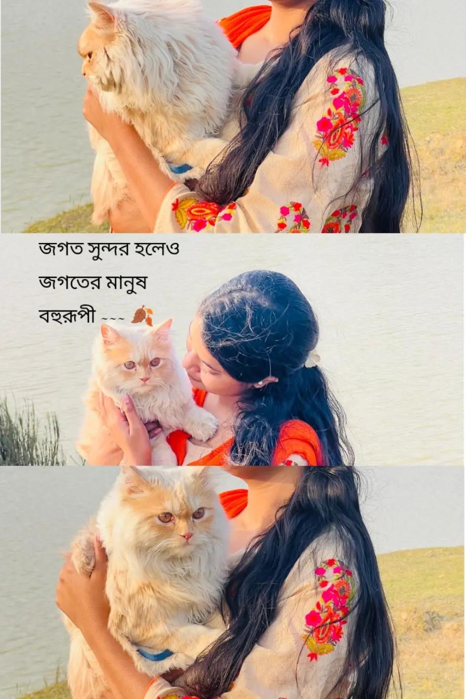 @Chikni Cameli ( শাড়ি কন্যা ✨)