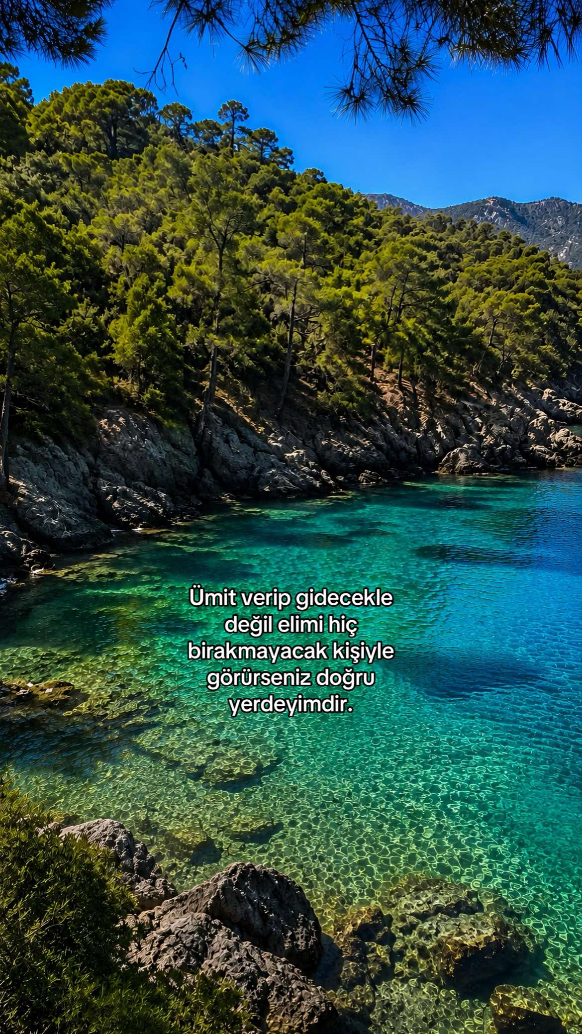 @manolialyrics