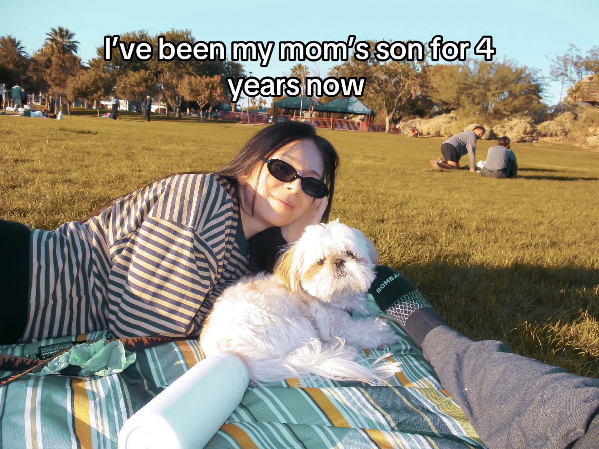 @Hugh the Shih Tzu