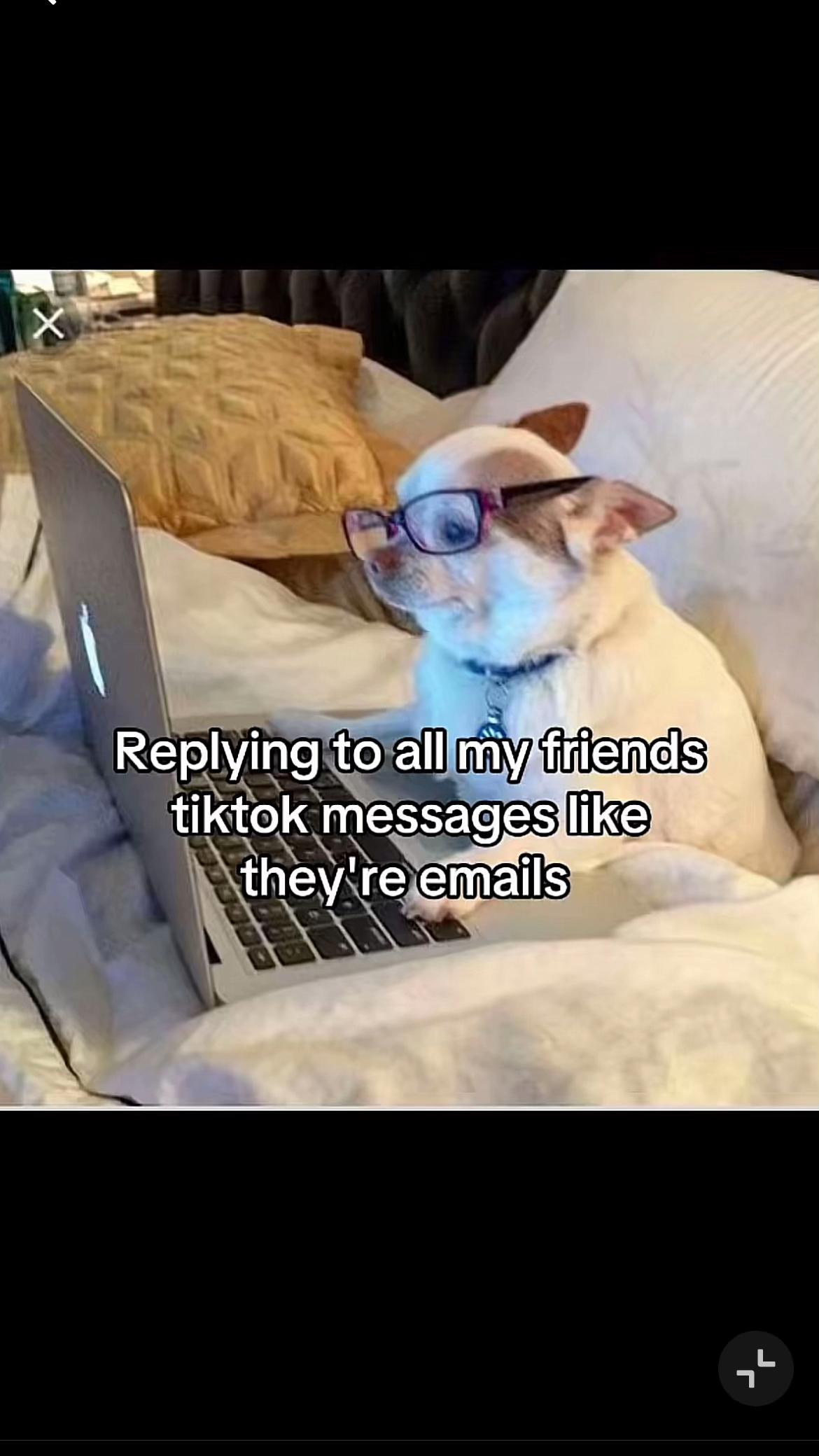 @Clipalic