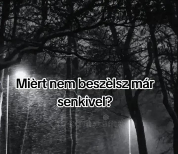 @jb j&aacute;zmin ❤️🫶