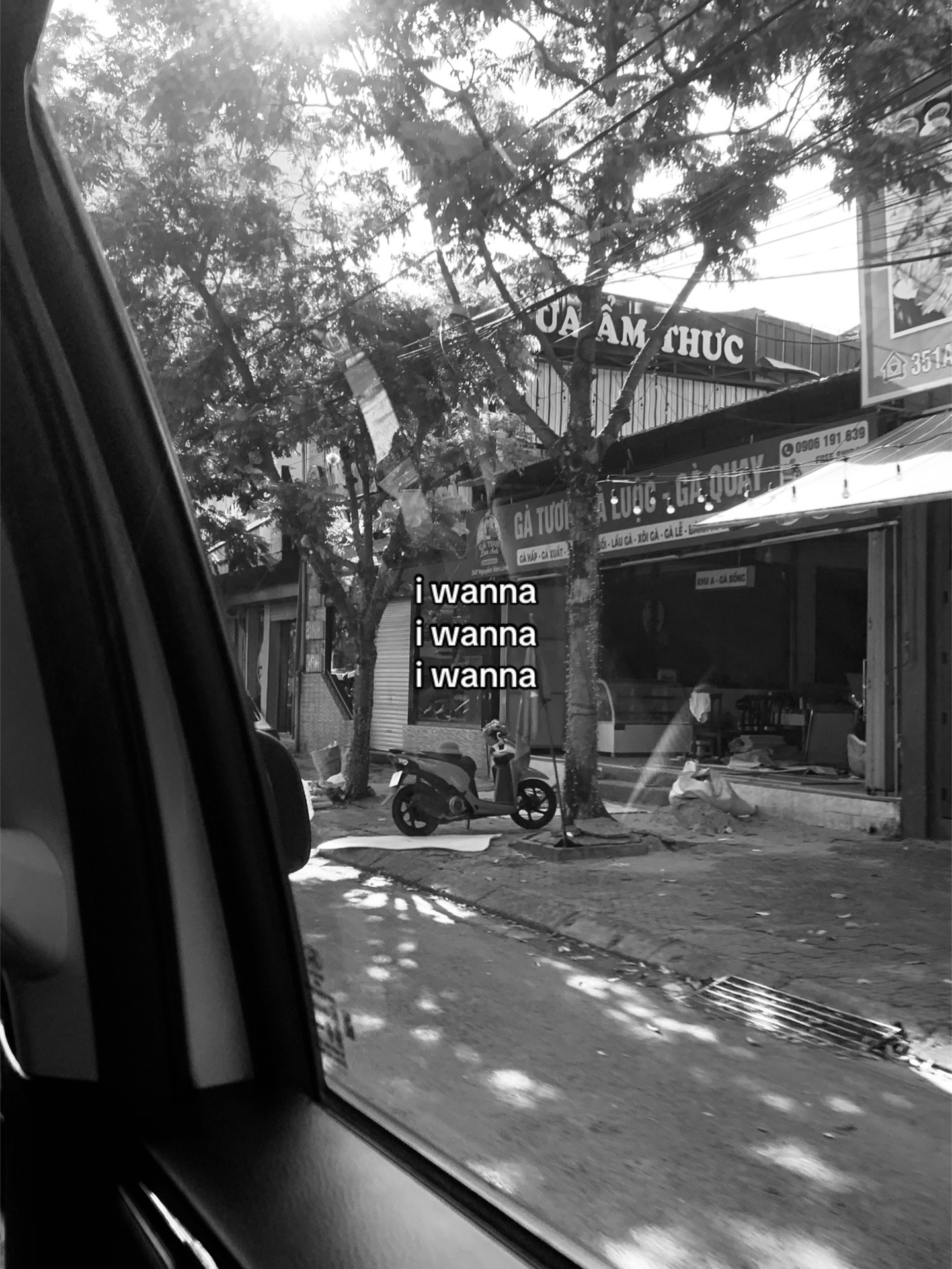 @louis meo