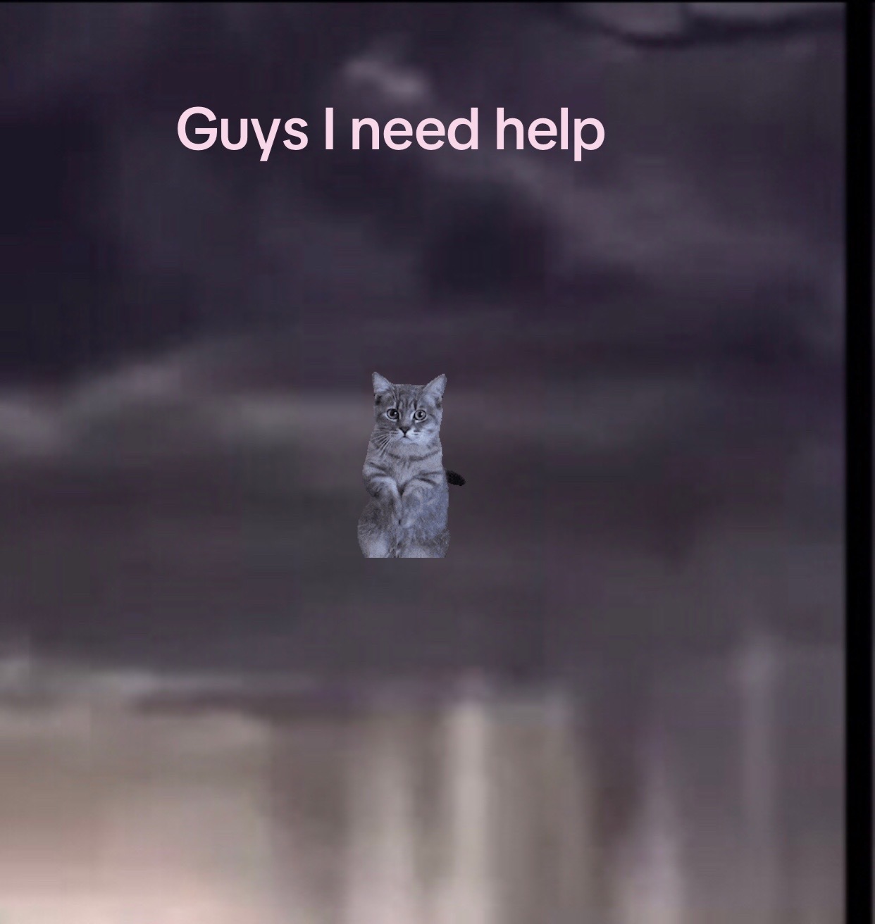 @Kathrynzside🐈