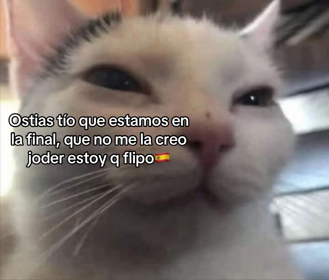 @Oso1819