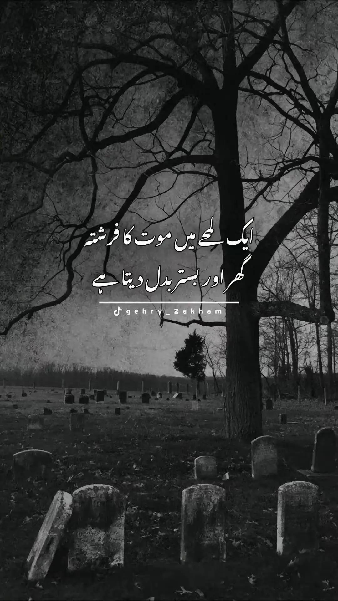 @🍁ℂ𝕙૯ᥱෆส🍁
