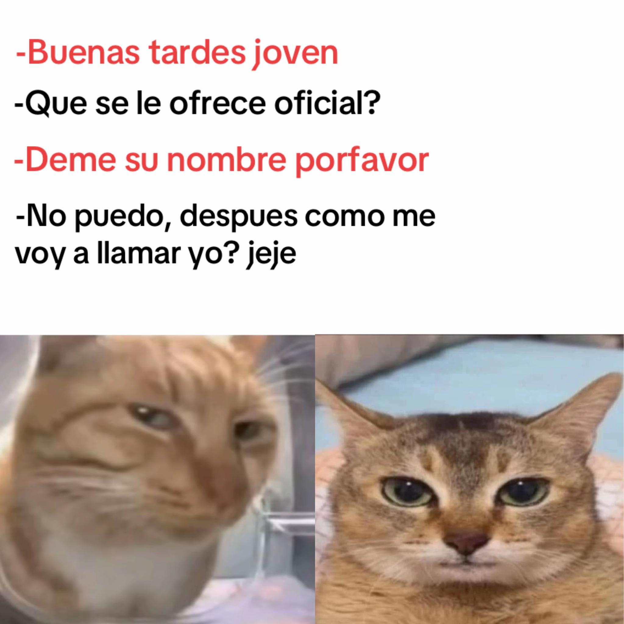 @momazosnegromarronjeje