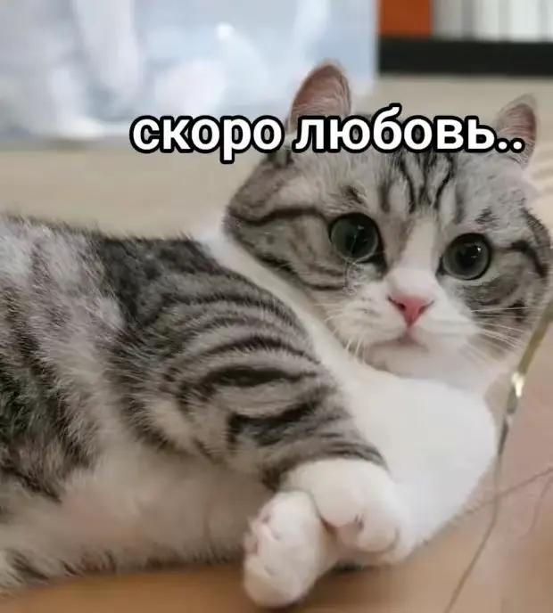 @KomaruSalt_AB