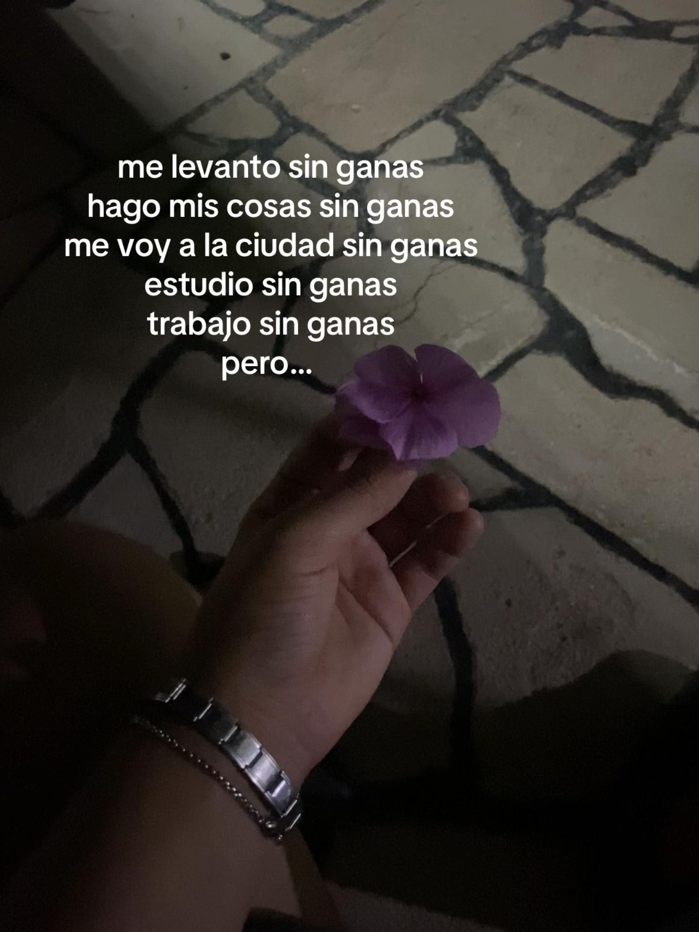 @francisco