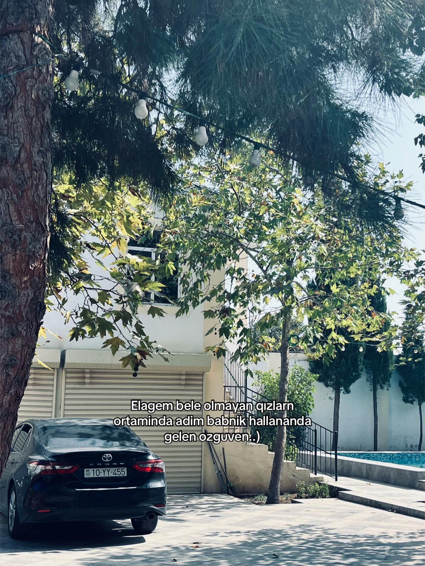 @𝙔𝙖𝙥𝙤𝙣 