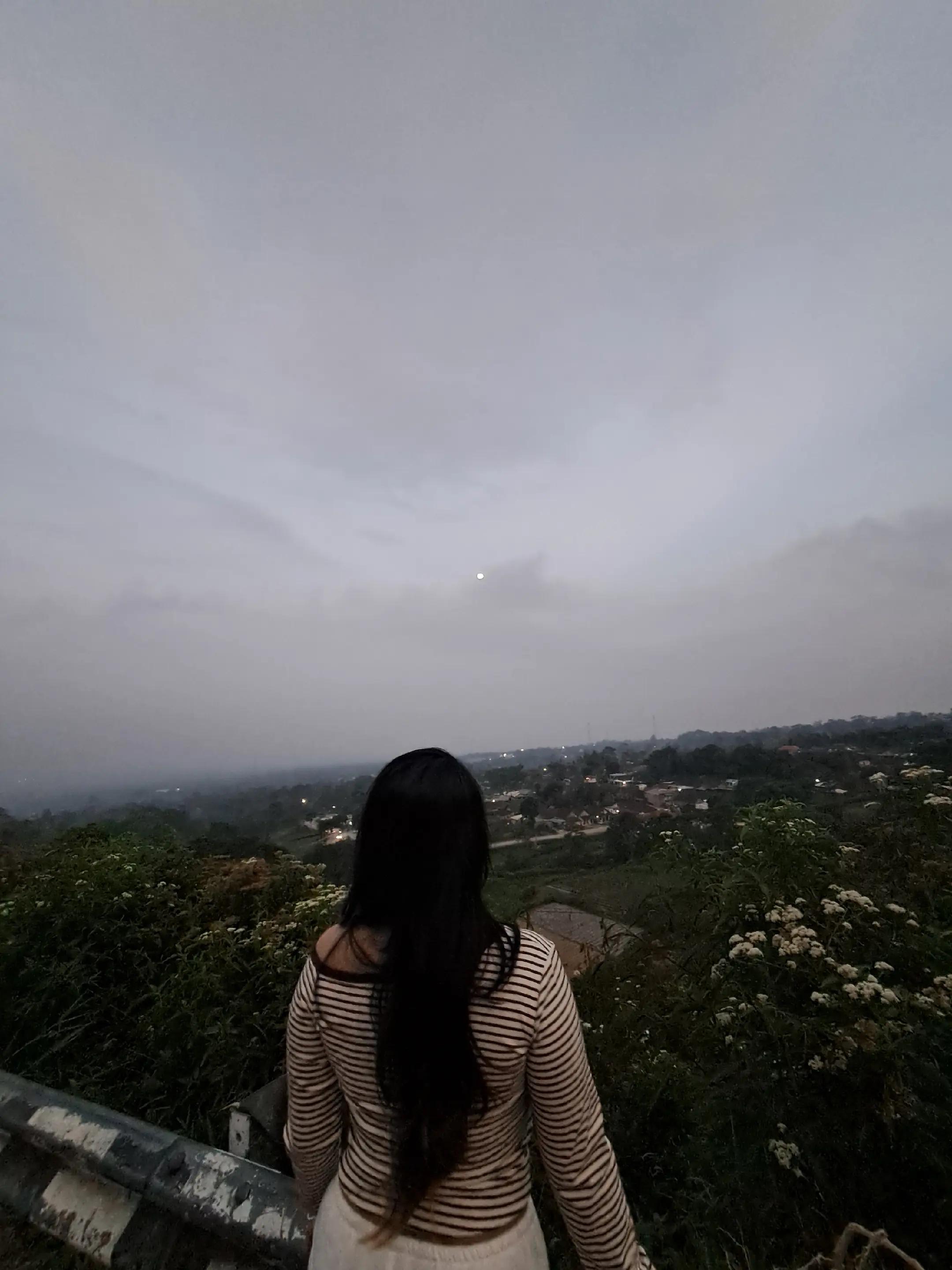 @BellaLuna