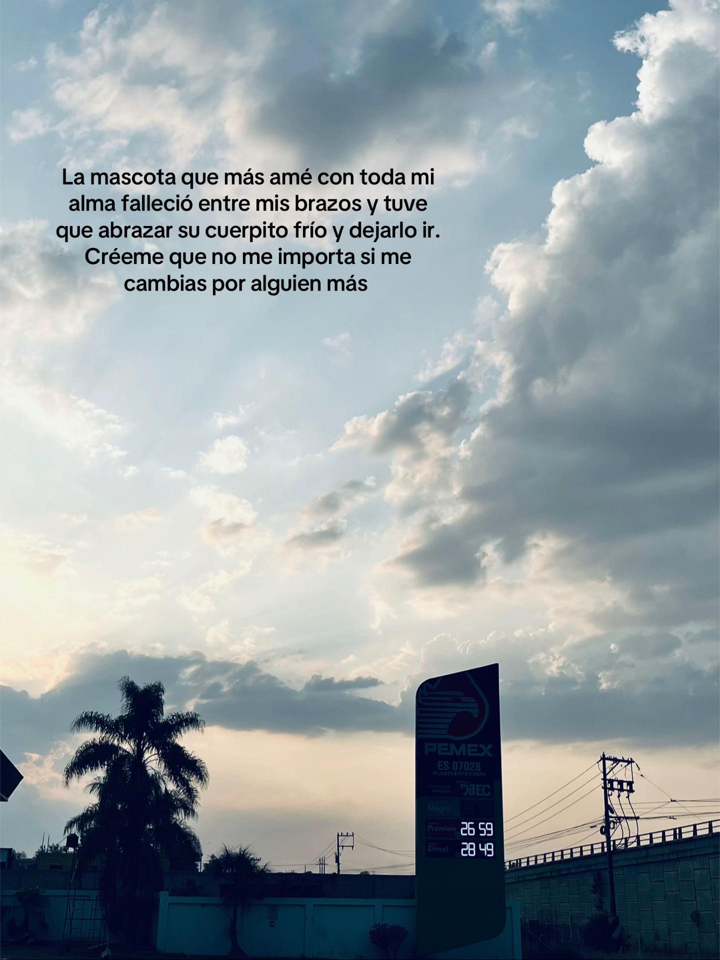 @Gabriela Ev 🌺