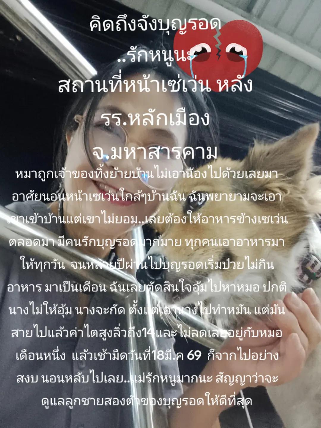 @Saowakon jin