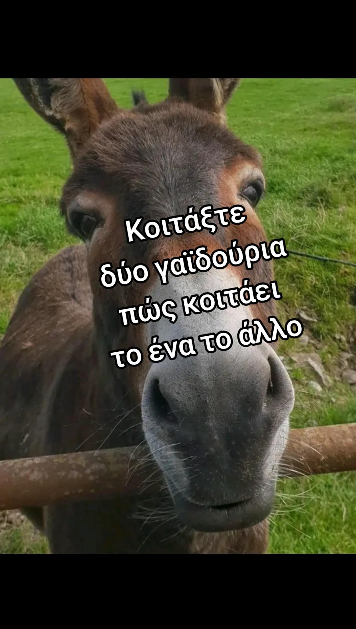 @gaidouri