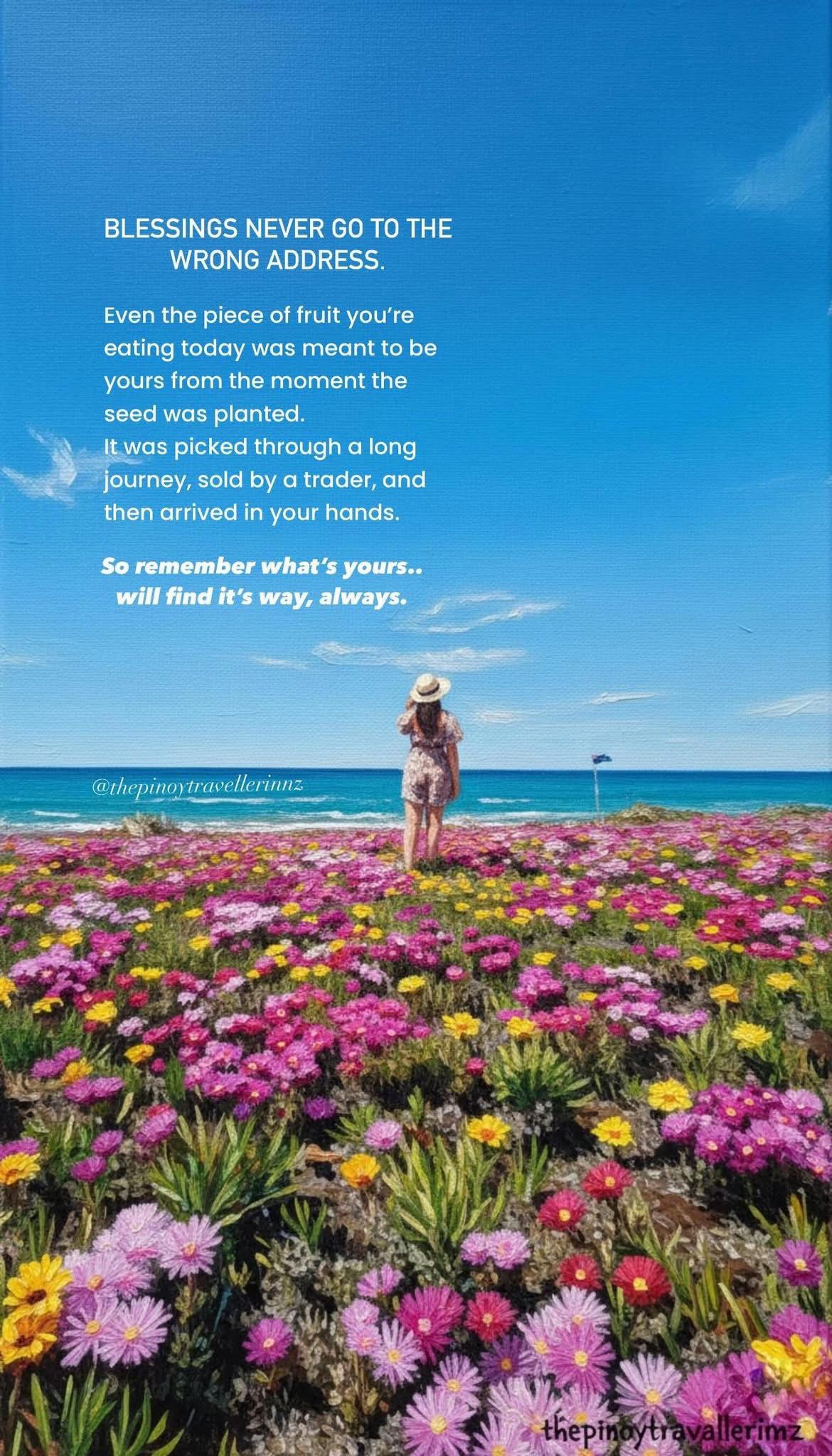 @Pinoy Traveller in New Zealand