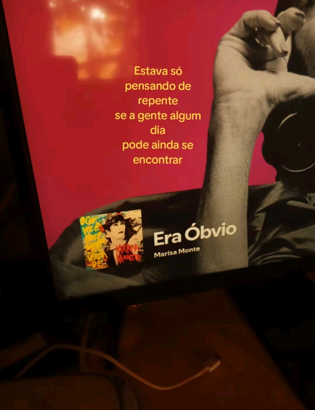 @juliapiratinha 🦜